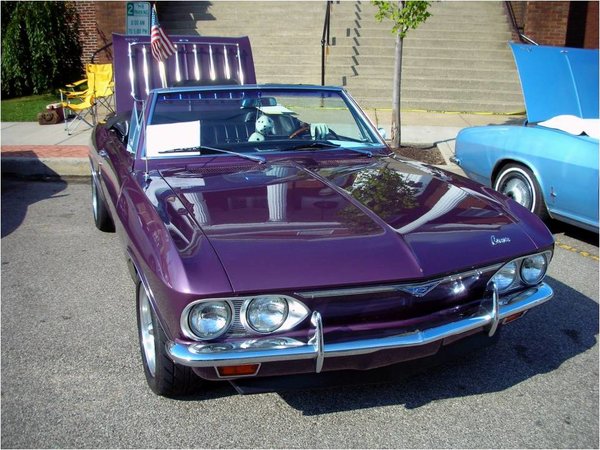 1965 Corvair - Royal Plum.jpg