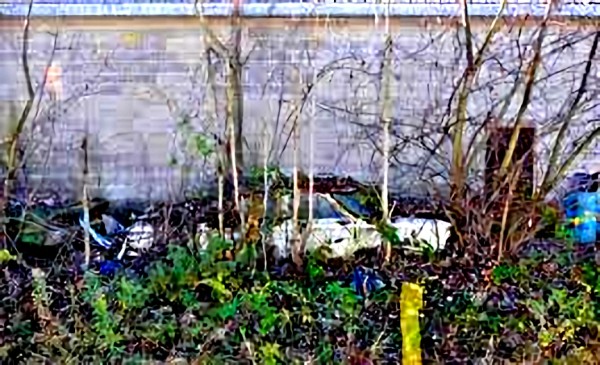 Old Neglected  Corvair.jpg