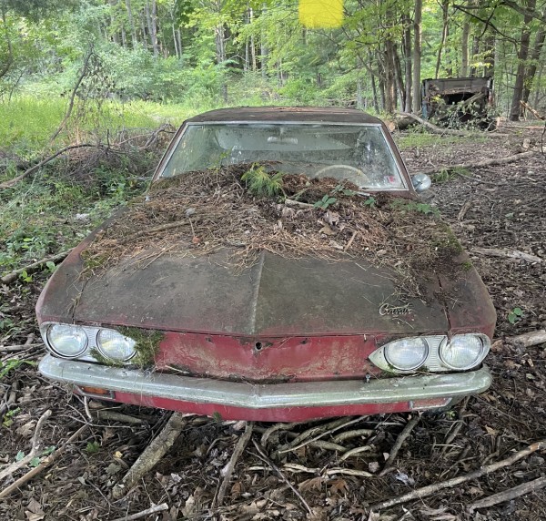 Mine in the woods.  Yes…moss growing from the headlights and other forest vegetation from the hood.
