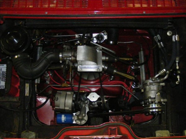 66 EFI motor 015 (Medium).jpg
