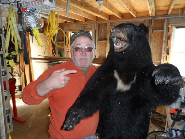 This bear was not friendly, nore liked any color.....