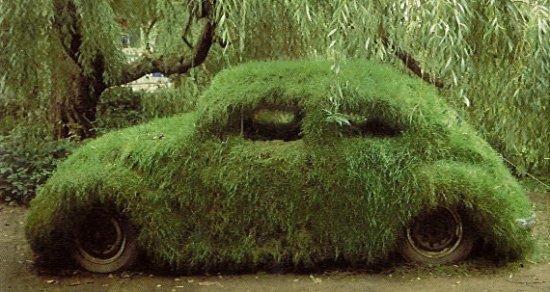 grass-vw-bug.jpg