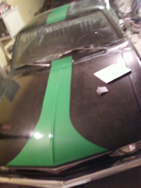cell pics 031.jpg