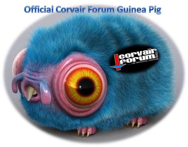 Corvair Forum Guinea Pig.jpg