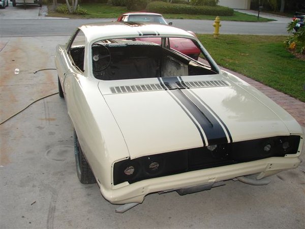 Fresh Paint!