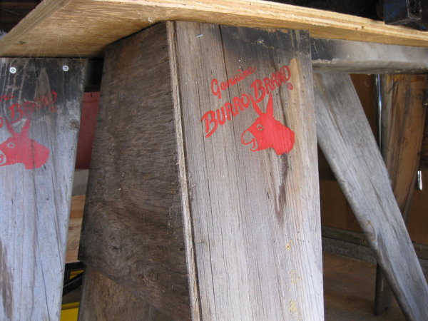I recomend only genuine burro brand saw horses when working on Corvairs