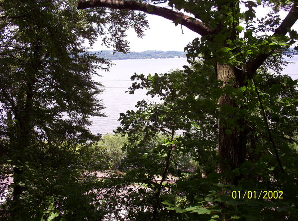 along a trail at Turkey Hill Preserve