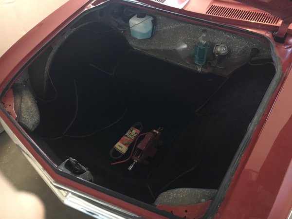 Trunk.JPG