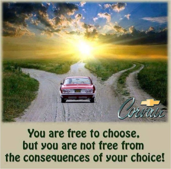 Free to Choose!.jpg