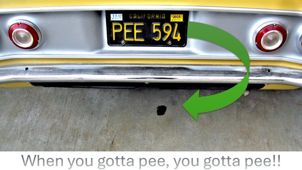 Gotta Pee - 1965 Corvair.jpg