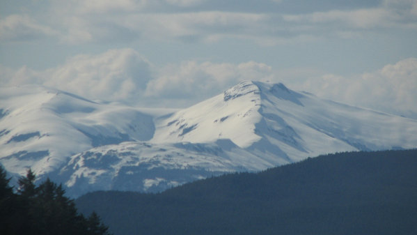 ak 2.jpg